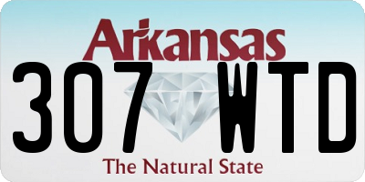AR license plate 307WTD
