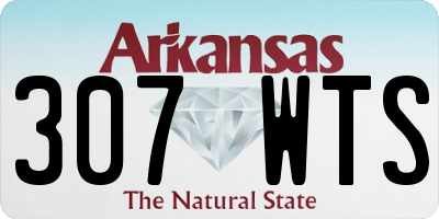 AR license plate 307WTS