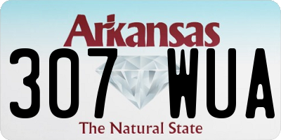 AR license plate 307WUA
