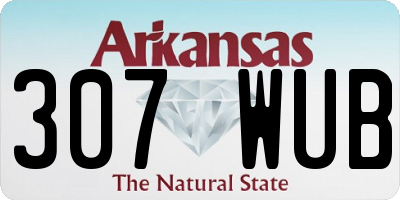 AR license plate 307WUB