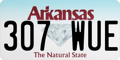 AR license plate 307WUE