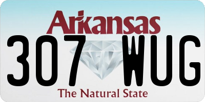AR license plate 307WUG
