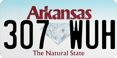 AR license plate 307WUH