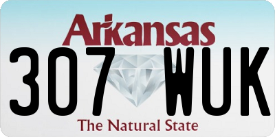 AR license plate 307WUK