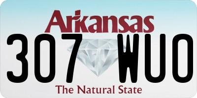 AR license plate 307WUO