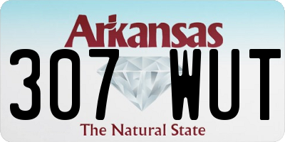 AR license plate 307WUT