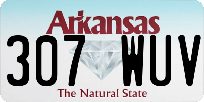 AR license plate 307WUV