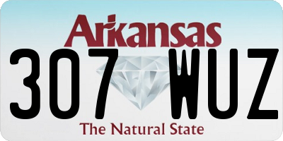 AR license plate 307WUZ