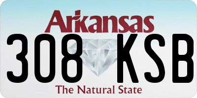 AR license plate 308KSB