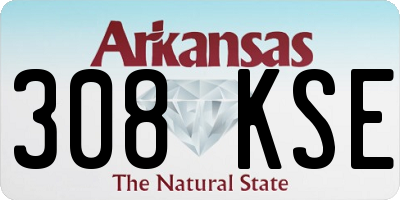 AR license plate 308KSE