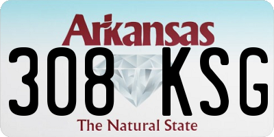 AR license plate 308KSG