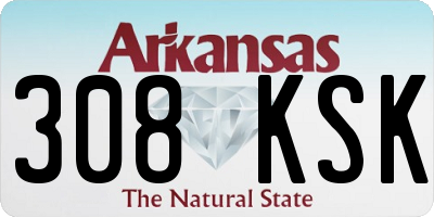 AR license plate 308KSK