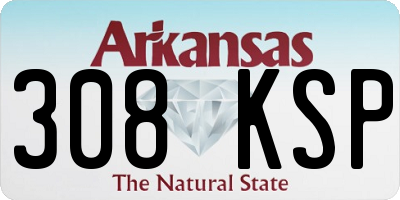 AR license plate 308KSP