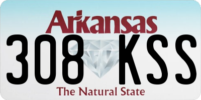 AR license plate 308KSS