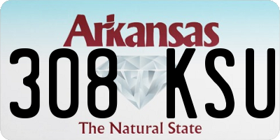 AR license plate 308KSU