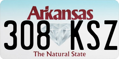 AR license plate 308KSZ