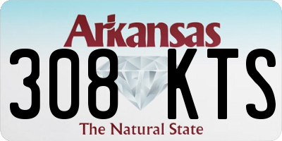 AR license plate 308KTS