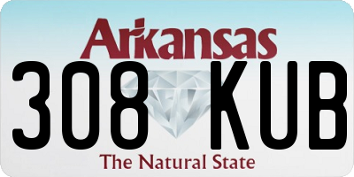 AR license plate 308KUB