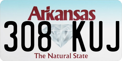 AR license plate 308KUJ