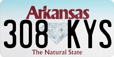 AR license plate 308KYS