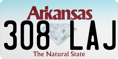 AR license plate 308LAJ