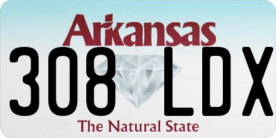 AR license plate 308LDX