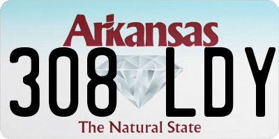 AR license plate 308LDY
