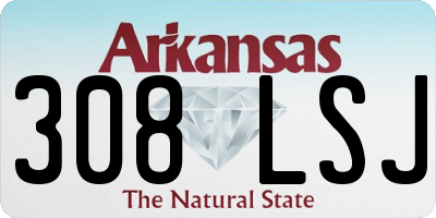 AR license plate 308LSJ