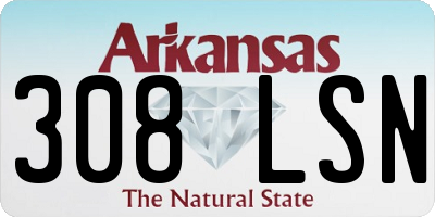 AR license plate 308LSN