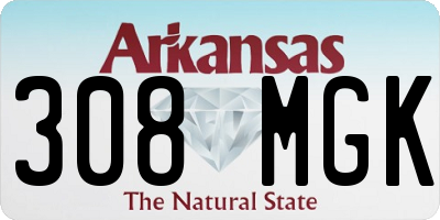 AR license plate 308MGK