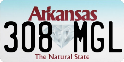 AR license plate 308MGL