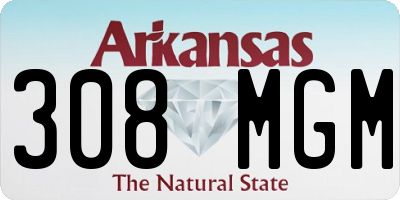 AR license plate 308MGM