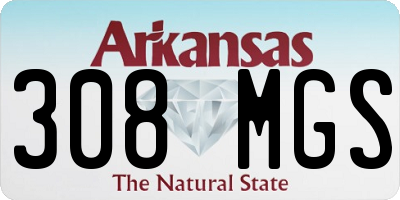 AR license plate 308MGS
