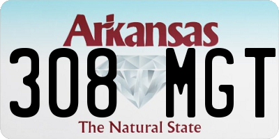 AR license plate 308MGT