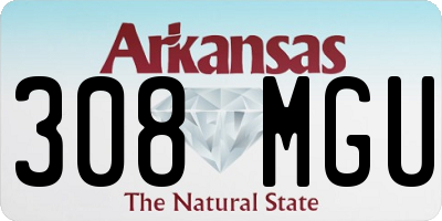 AR license plate 308MGU