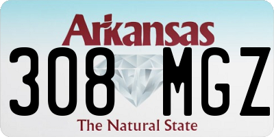 AR license plate 308MGZ