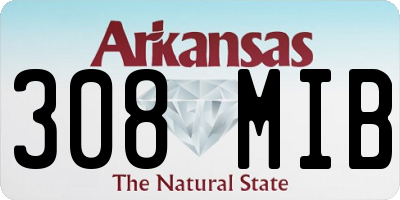 AR license plate 308MIB