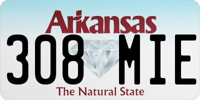 AR license plate 308MIE