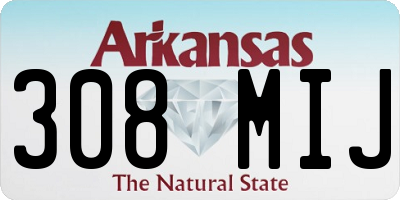 AR license plate 308MIJ