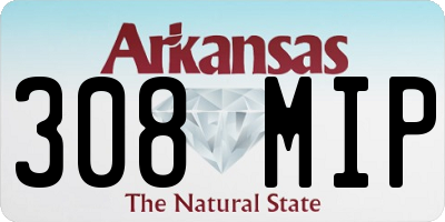 AR license plate 308MIP