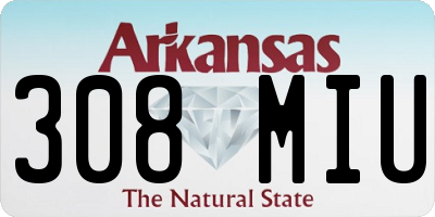 AR license plate 308MIU