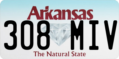 AR license plate 308MIV