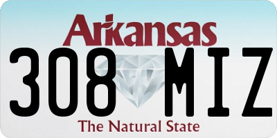 AR license plate 308MIZ