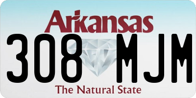 AR license plate 308MJM