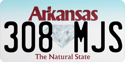 AR license plate 308MJS