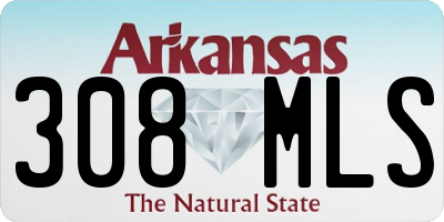 AR license plate 308MLS