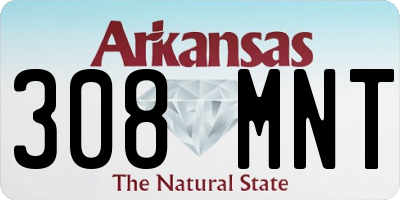 AR license plate 308MNT