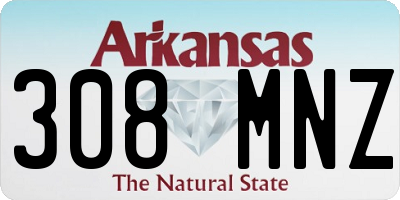 AR license plate 308MNZ