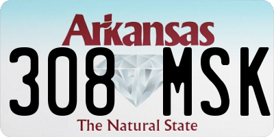 AR license plate 308MSK