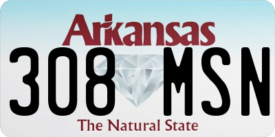 AR license plate 308MSN